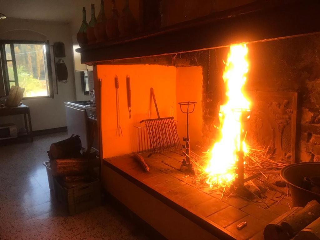 Casa Vacanze Podere Marilla Peccioli Bagian luar foto